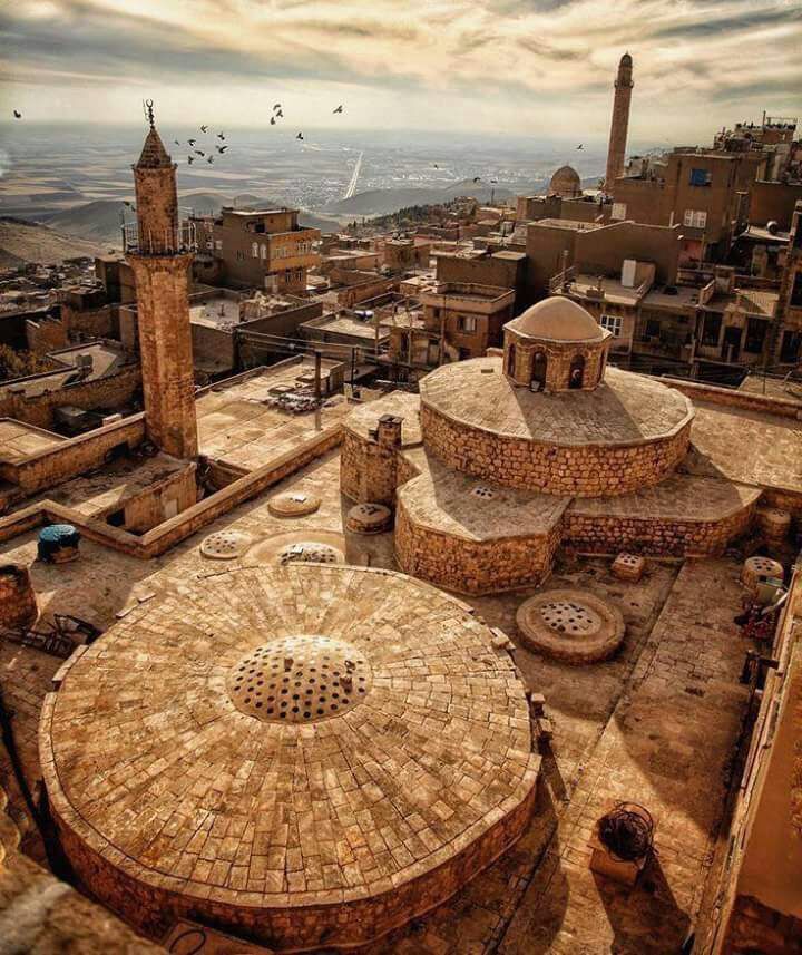 MARDİN 